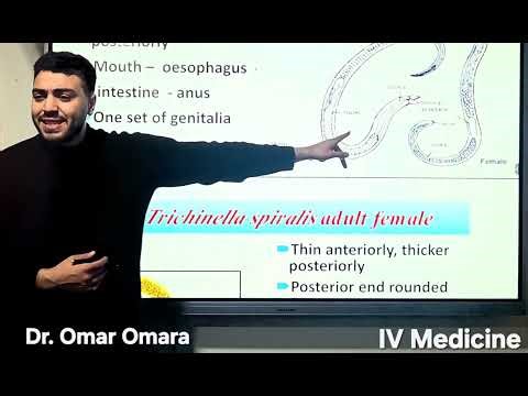 Parasitology practical revision msk