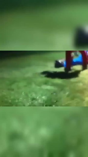 ⚡MUSIC & DANCE SHOW⚡ (@musicdanceofficial)’s videos with original sound - ⚡MUSIC & DANCE SHOW⚡