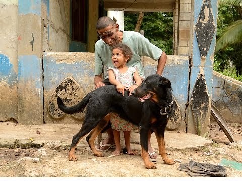 We are World Animal Protection | Move the world to protect animals