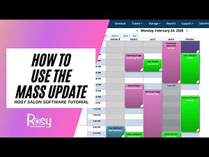 Salon Software Mass Update Tutorial - Rosy Salon Software