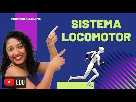 Locomotor System: skeleton and muscles