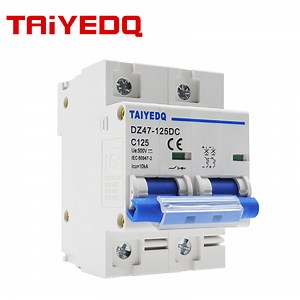 [Hot Item] 2p 80A 100A 125A DC Circuit Breaker 500V Circuit Breaker Solar Cells RV Battery System