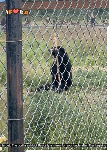 8.1K views · 167 reactions | Zoo Day Turns Unexpected! 女藍 | I Freaking Love Animals | Facebook