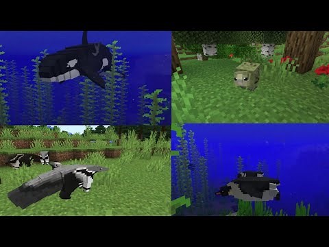 ZAWA Evolved mod showcase - ZAWA Evolution 1.16.5