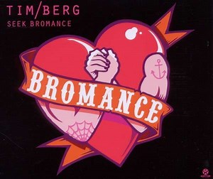 Tim Berg - Seek Bromance