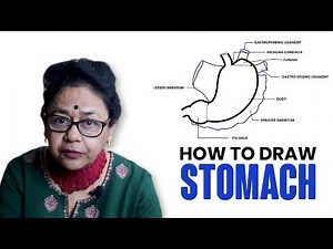 How to Draw Human Stomach| Anatomy | Dr Sibani Mazumder | Stomach Drawing Easy.