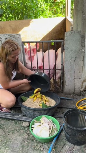 Village Pig Farm Tour | Simple Rural Living #PigFarm #RuralLife #VillageLife