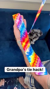 This blows my mind! #reels #hack | Hack 'n' Giggle