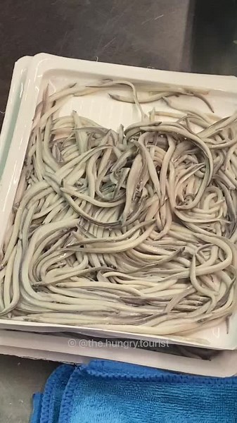 Delicious Angulas: The Spaghetti of the Sea