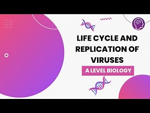 Life Cycle and Replication of Viruses | A Level Biology | OCR, AQA, Edexcel