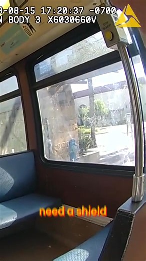 Graphic BWC footage shows officers confronting a suspect armed with a knife on a train. They command the individual to drop the weapon while securing the area and requesting backup. Officers attempted less-lethal methods before opening fire. #PoliceFootage #KnifeAttack #TrainIncident #OfficerInvolvedShooting #BWC | Amazing Audits