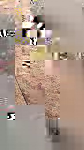 64K views · 789 reactions | We found some croc tracks while on a remote island  | Back 2 Basics Adventures | Facebook