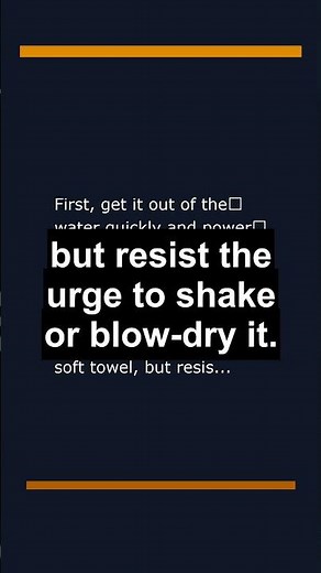 Help! My Phone's Wet – Now What?
