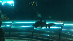 2.4K views · 103 reactions | 麗 KONKURRENCE: VIND ET ÅRSKORT! 麗 I...