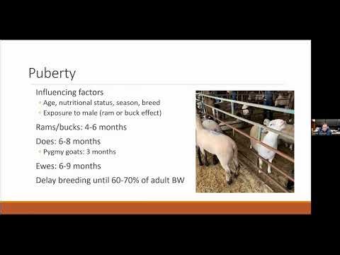 Topic 2 Nov 24, 2025 – Repro Anatomy & Physiology