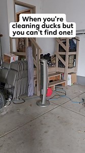 1.5M views · 29K reactions | She's sneaky  #hunting #outdoors #waterfowl #duckhunt #duckhunting #hunt #huntingseason #huntingpartner #labs #doglover | TUT Outdoors | Facebook