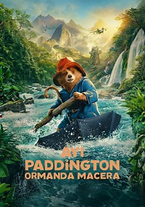 Ayı Paddington: Ormanda Macera yayını: Online izleyin
