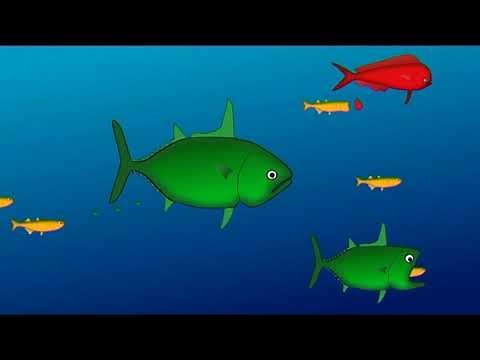 Functioning of a marine ecosystem: the example of upwelling ecosystems