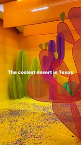 Visit the coolest desert in Texas 🌄. New at Color Factory 🌵🤠 color.inc/houston | Color Factory