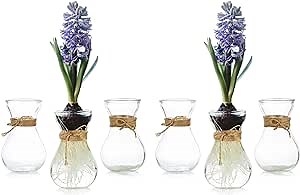 Small Glass Vases for Centerpieces - Hewory 6pcs Clear Mini Hyacinth Avocado Growing Bud Vase Bulk, Cute Tiny Flower Bulb Forcing Plant Containers Set for Wedding Home Living Room Table Decorations
