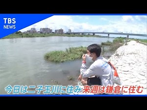 新しい移住のカタチ【Nスタ】