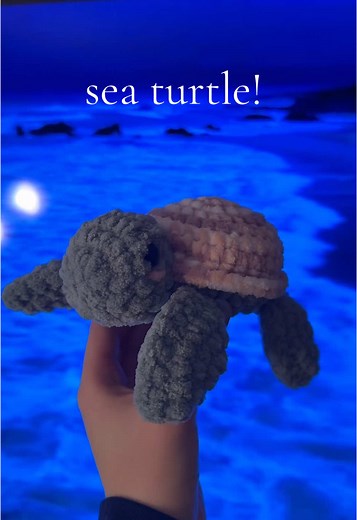 I’m trying a new challenge where I crochet a new sea creature everyday for a week! 🌊 Comment any ideas or what you’d like to see! **This pattern is available now on my etsy!! Crochet Cuties By Katie #crochet #crochetstuffedanimal #amigurumi #crochetersoftiktok #crochettiktok #turtle #seaturtle #etsy #craft #crochetamigurumi #yarn #etsypattern #etsyshop