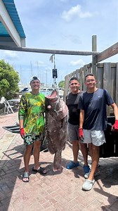 As fresh as it gets! Big thanks to our local fishermen who make it all possible🐟🍽️See you at Fish House 📍Varadero Marina, Bucuti weg 34#fishhousearuba #arubarestaurant #arubalocalrestaurant #arubaseafood #Arubafish #Arubafreshfish #freshcatch #arubadining #aruba #visitaruba #arubaeats | Fish House Island Bar & Restaurant
