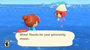 62K views · 1K reactions | Stick that in your skillet and let it simmer. 樂 | Nintendo Switch | Facebook