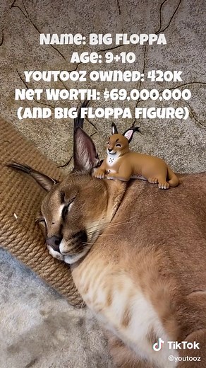 floppa really grew up before our eyes 🥹 big floppa vinyl is available now! #youtooz #collectibles #bigfloppa #floppa