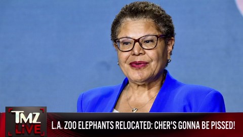 L.A. Zoo Elephants Billy, Tina Transferred to Tulsa Zoo Under Cover of Night | TMZ Live