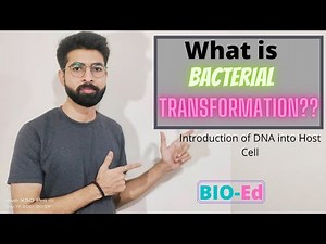 Bacterial Transformation || Introduction of DNA into Host Cell ||