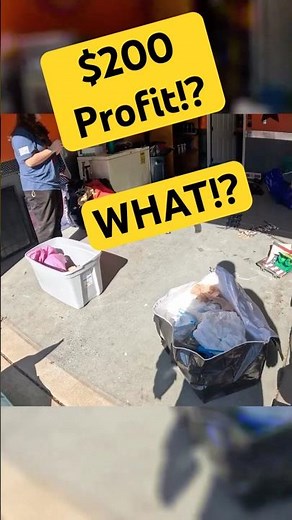 The Beanie Baby Bonanza How They Made $200 in One Morning!