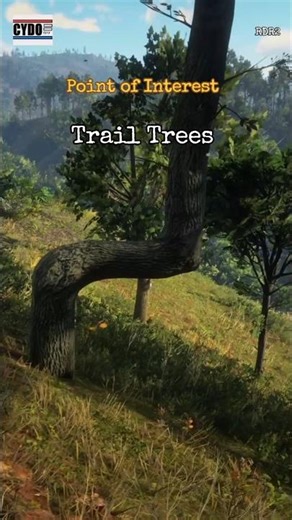 Trail Trees! Point of Interest! #cydo9515 #rdr2 #gaming #pointofinterest #rdr2guide #shorts #tree