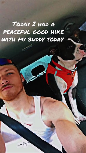 Todays adventure with my boi #adventure #hike #smokeymountains #gatlinburg #for #like #share #fypシ #