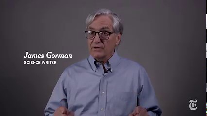 Inside the Nose of an Elephant