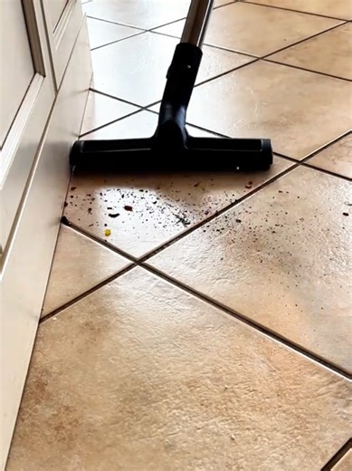 Watch SEBO E3 Brush CRUSH Dirt on Tile Clean Baseboard Edges! 🧹✨