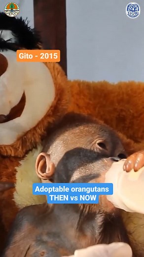 9K views · 811 reactions | They grow up so fast! 沈梁 After being...