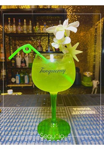 Découvrez SEQUÒIA : Votre Jardin des Saveurs