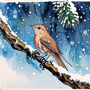 Close-up of a Nightingale on a pine tree with snow. | Pam's Gifs and Videos