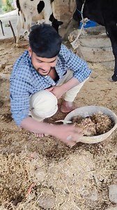 Ravindar Chauhan on Reels