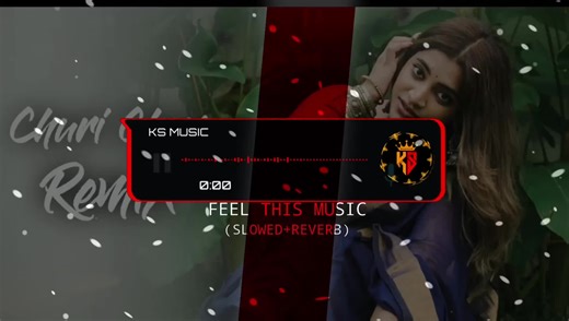 Best Techno Remix of Pro Mix Churi Cham Cham