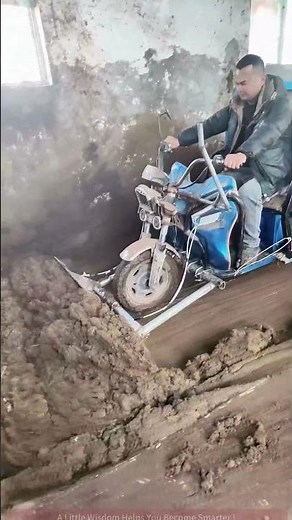 Methods for Cleaning Up Horse Manure