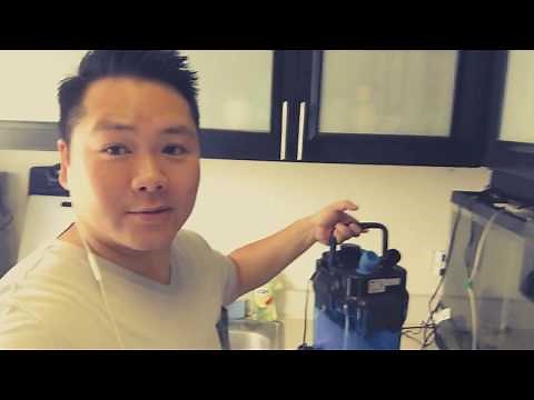 VK TRYZ Penn Plax Cascade Canister Filter 1000 Installation