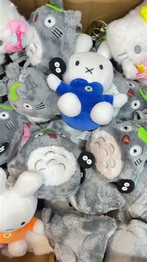 Explore Unique Plush Keychains in Dharan