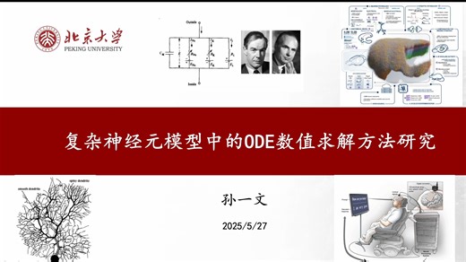 复杂神经元模型中的ODE数值求解方法研究_孙一文_北大核心通识课数值方法大作业