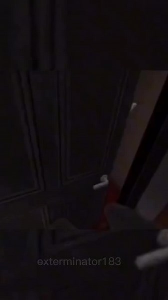 exterminator on TikTok