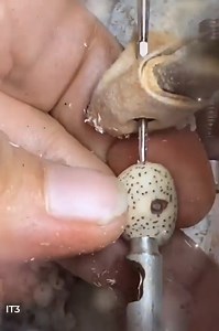 37K views · 34 reactions | Most Amazing Technology 1 | What's for today | Facebook