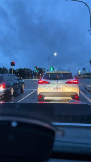 Exploring Auckland's Mt. Roskill Drive