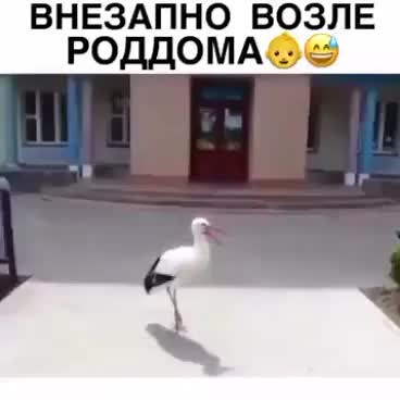 Аист с младенцем