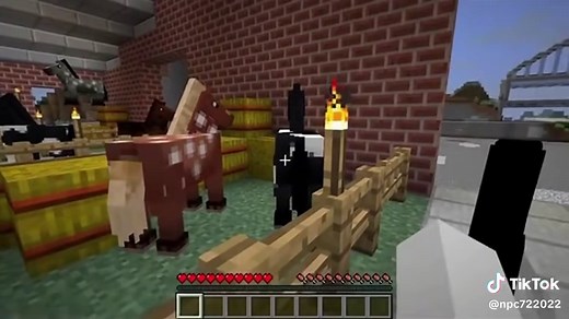 ReGect Core: Funny Minecraft Moments and ARG Adventures